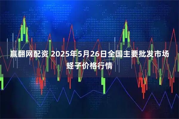 赢翻网配资 2025年5月26日全国主要批发市场蛏子价格行情