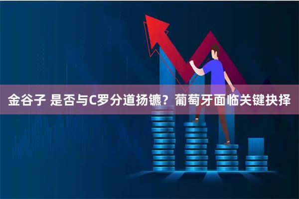 金谷子 是否与C罗分道扬镳？葡萄牙面临关键抉择