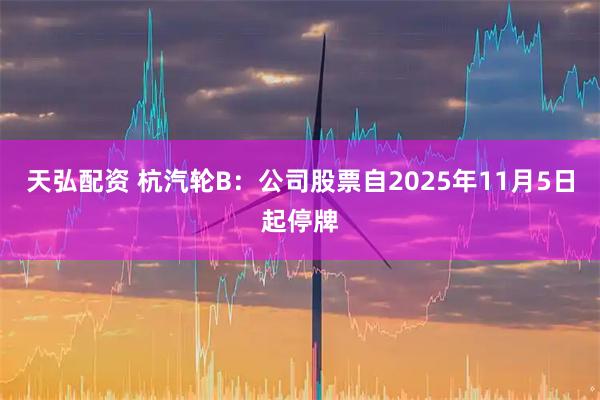 天弘配资 杭汽轮B：公司股票自2025年11月5日起停牌