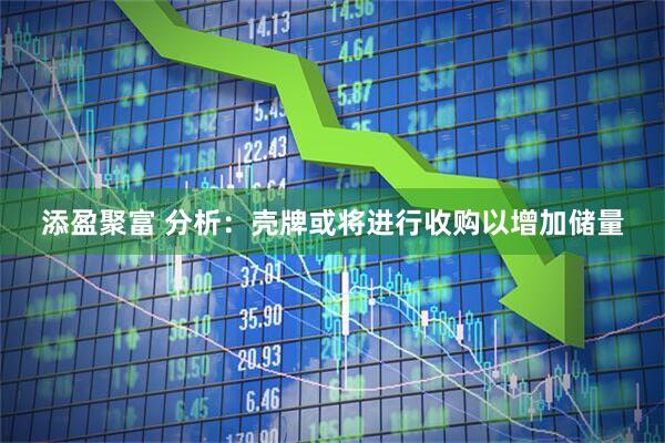 添盈聚富 分析：壳牌或将进行收购以增加储量